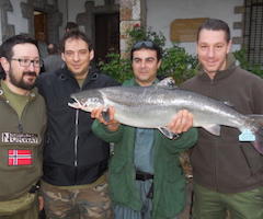 El campanu de Asturias pescado en el río Sella